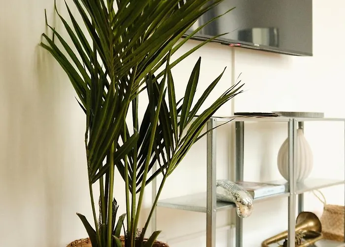 Modern Design 75sq In Mitte Apartman Berlin