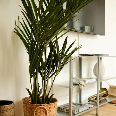 Modern Design 75sq In Mitte Apartman Berlin